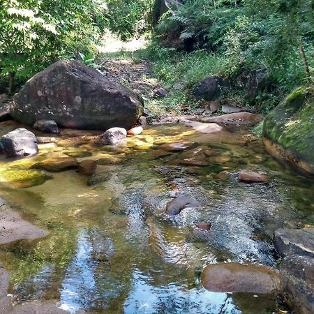 Hotel Fazenda Monte Crista Rio Bonito  Εξωτερικό φωτογραφία
